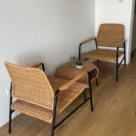 Check In Apartment
